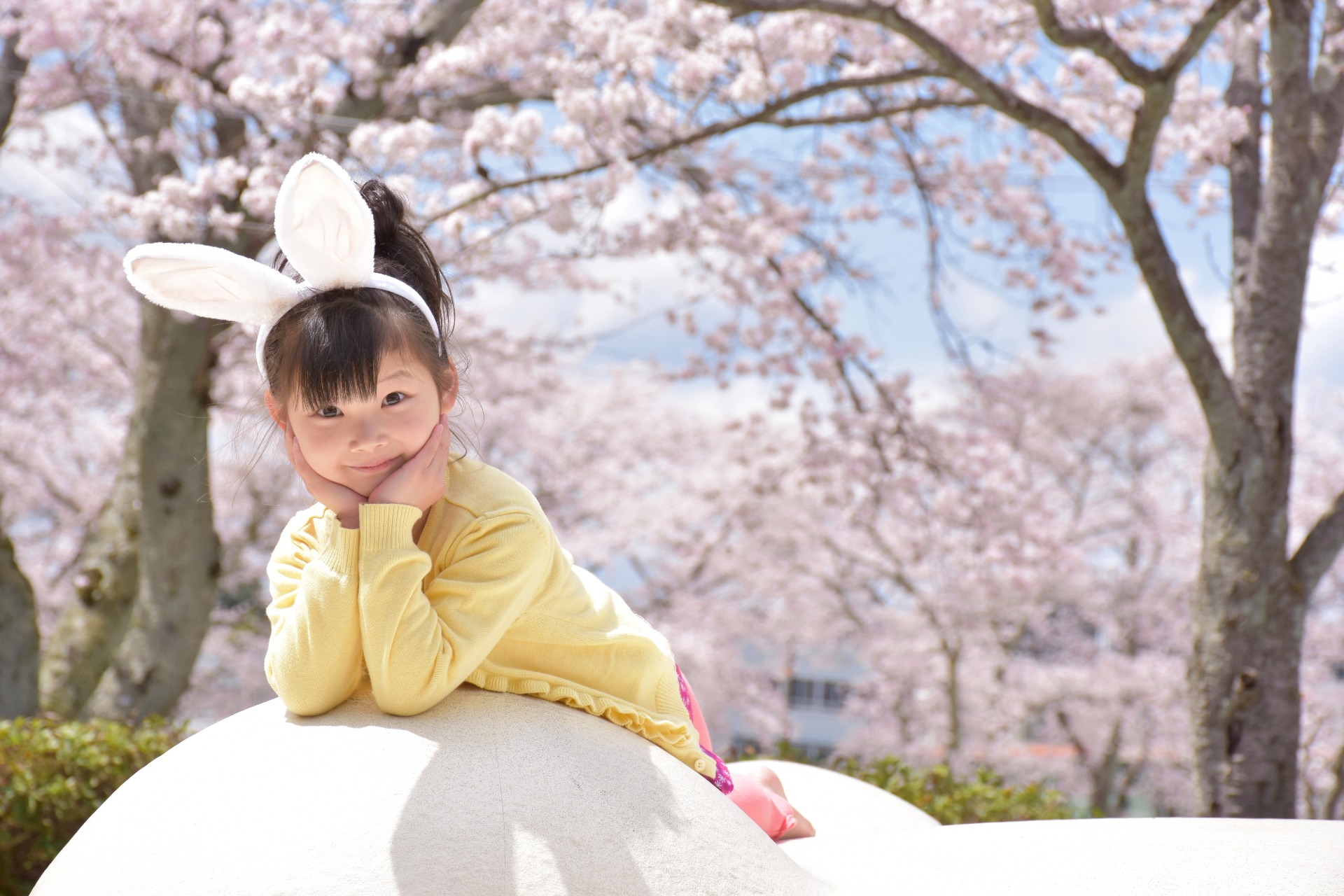 桜と子ども